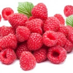 Berries