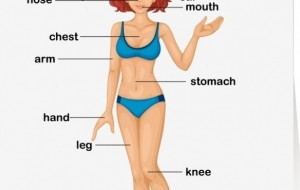 What's Your Favorite Body Part?